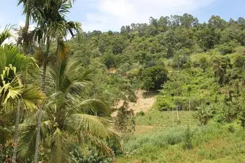 Элла: Cascade Vally