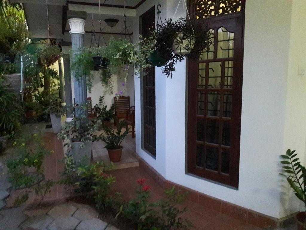 Aayu's Guest — фото 1