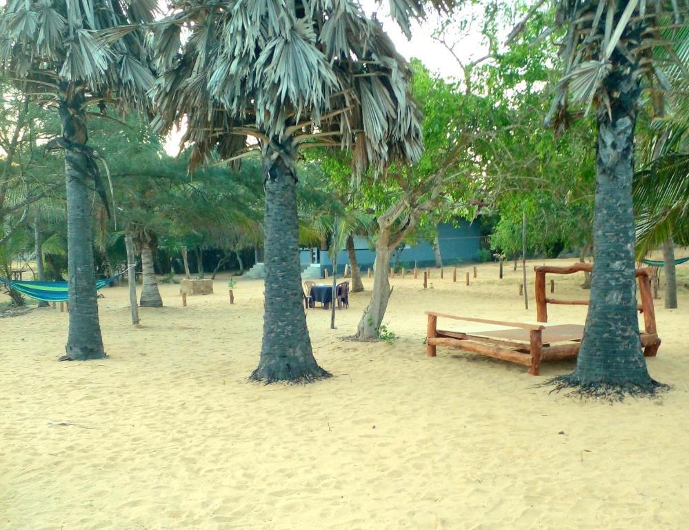 Beach Bungalows & Beach Camping — фото 1
