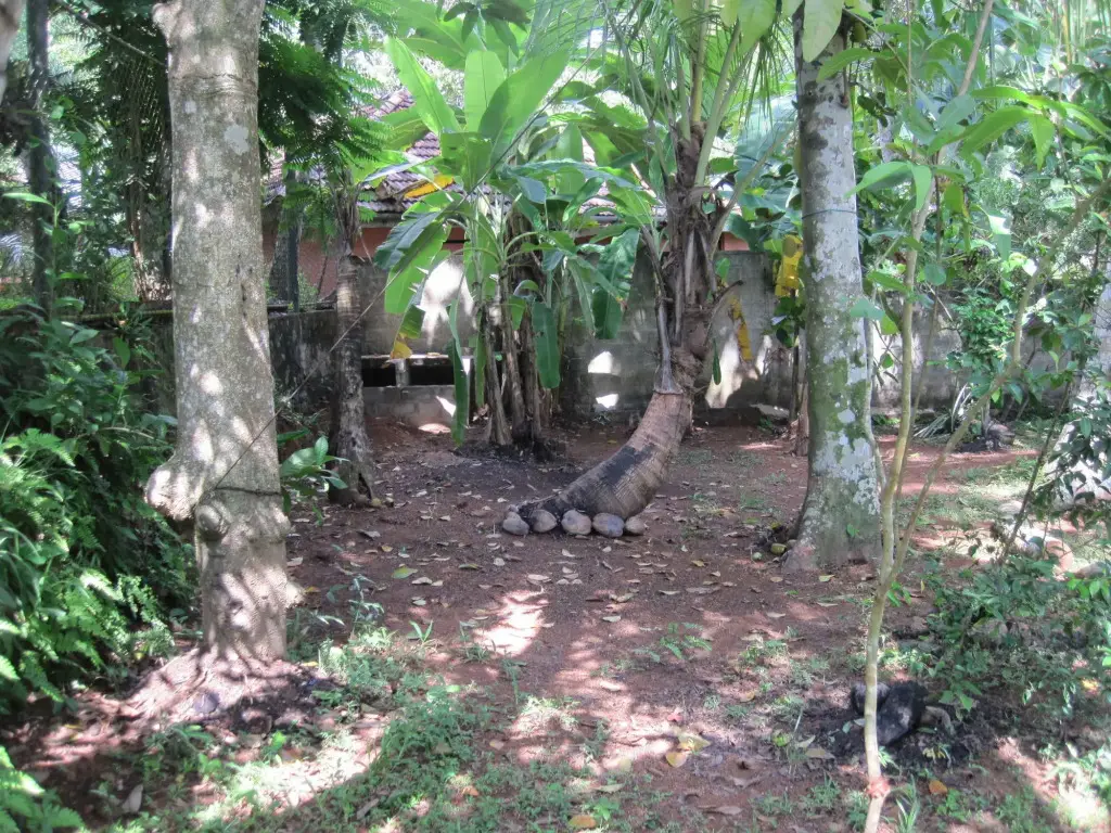 Хиккадува: Jungleside House