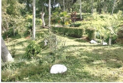 Амбевелла: Cool Spring Rest Guesthouse