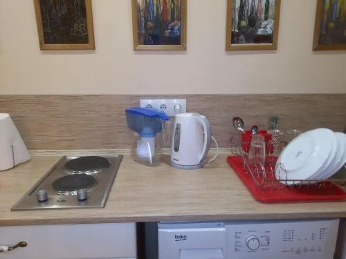 Псков: Apartment Pskov