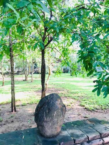 Twin Blocks Nature Resort — фото 1