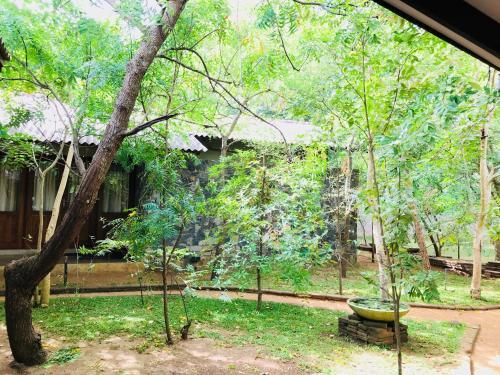Анурадхапура: Twin Blocks Nature Resort