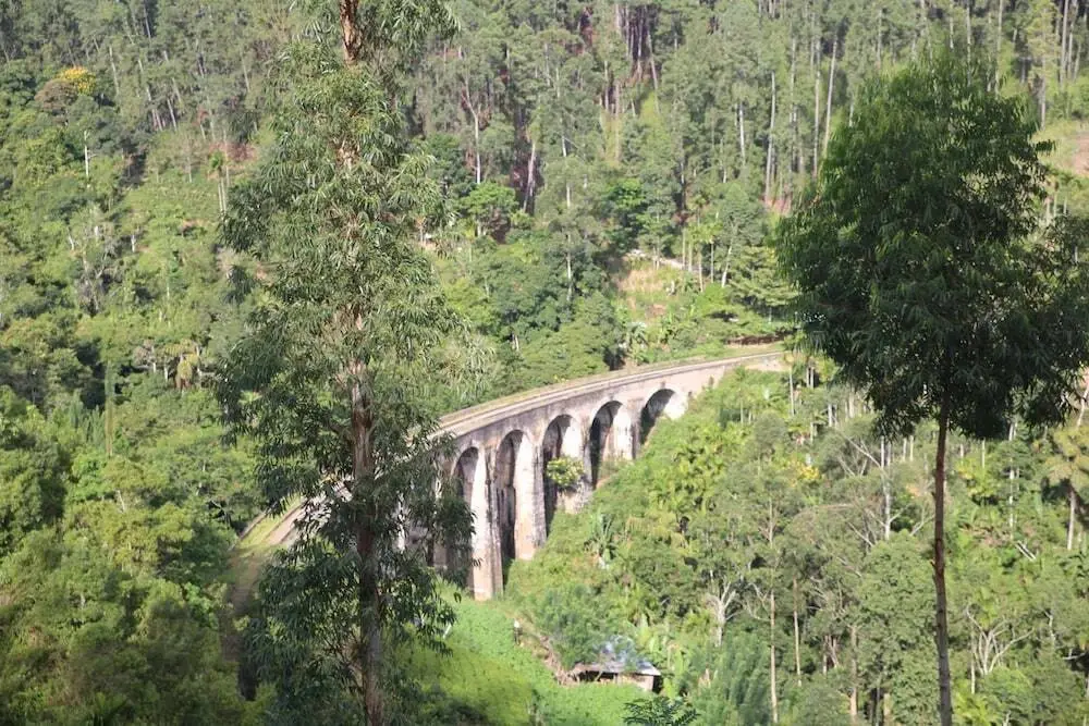 Элла: 9ARCH