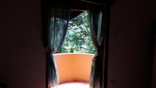 Хиккадува: Happiness Guest