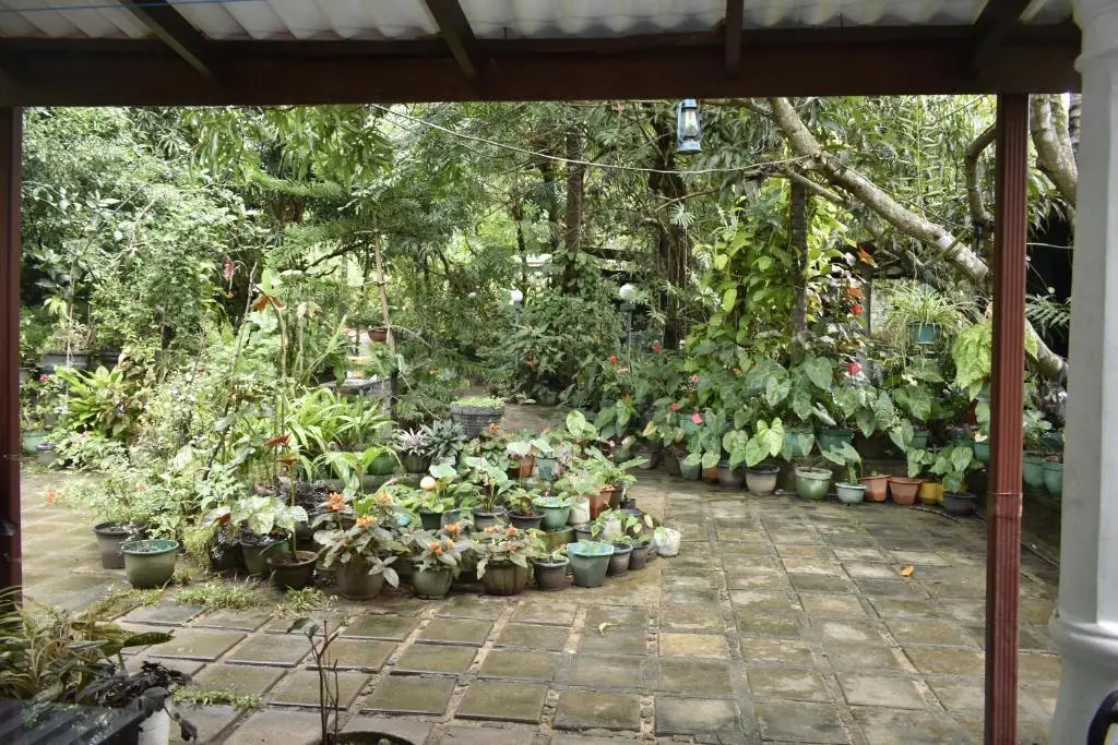 Сигирия: Sigiri Rock Side Home Stay