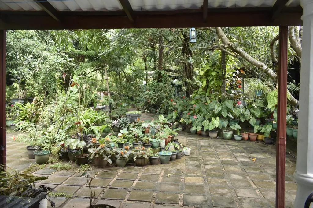 Сигирия: Sigiri Rock Side Home Stay