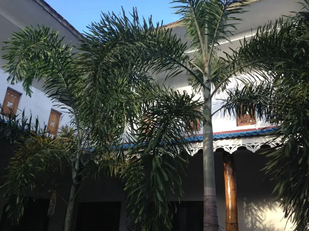 Негомбо: Friends Guesthouse Negombo