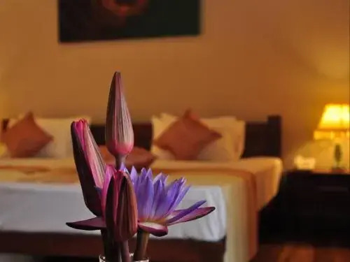 Анурадхапура: Hotel Sinharagama Resort and Spa