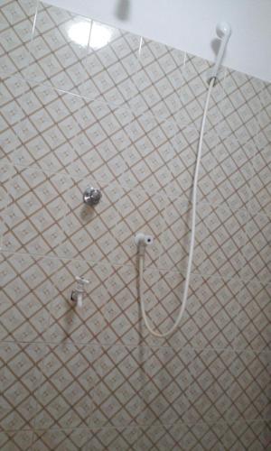 Тимболкетия: Elephant Reach Udawalawa