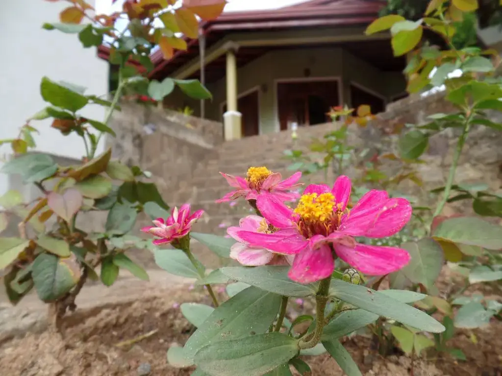 Бандаравела: Mountains Edge Holiday Inn & Family Bungalow