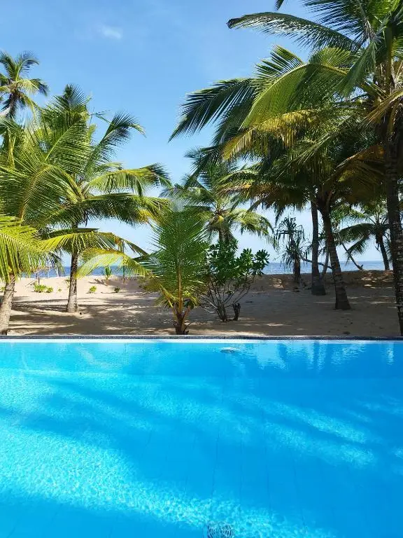 Мараколлия: Tropical Garden