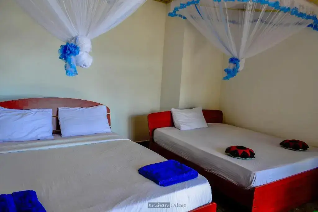 Элла: Will Guest Homestay