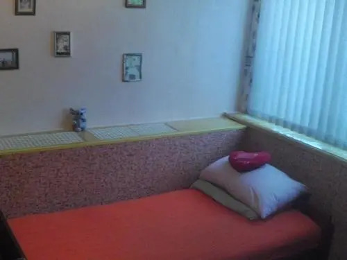 Псков: Guest house V pomosh' turistam