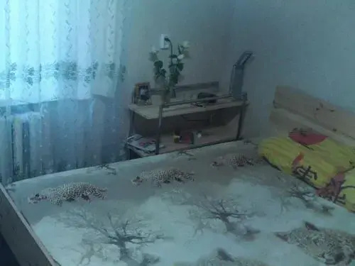 Псков: Guest house V pomosh' turistam