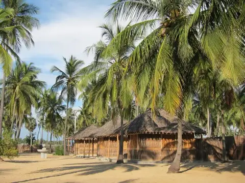 Funky Far Nest Tropical Resort — фото 1