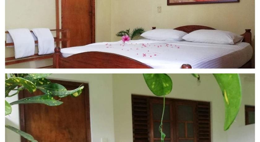 Полоннарува: Palm Garden Tourist Guest House