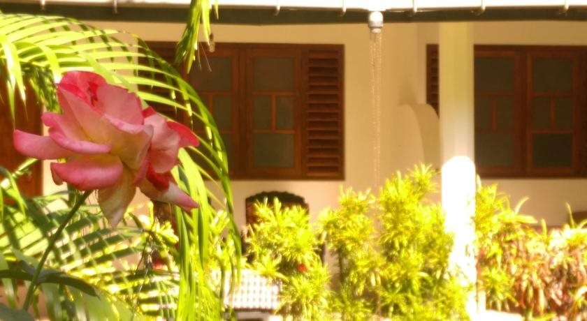 Полоннарува: Palm Garden Guest House