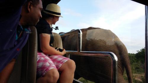 Удавалаве: Elephants Fence Guest & Safari Services