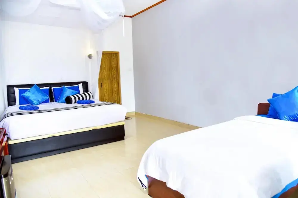 Элла: Ella Nimal Nest Inn