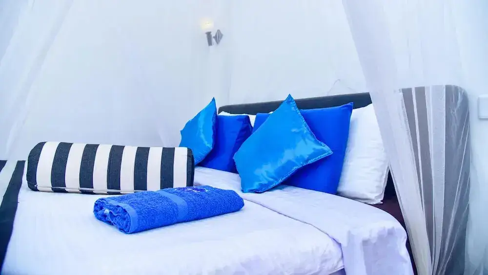 Элла: Ella Nimal Nest Inn