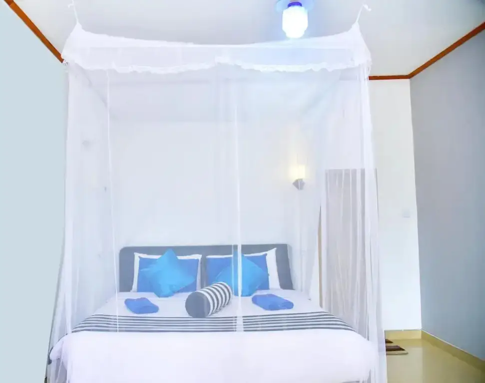 Элла: Ella Nimal Nest Inn
