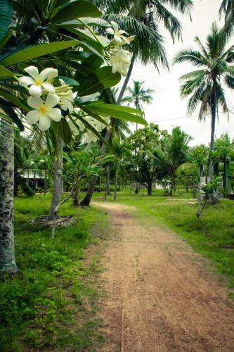 Маравила: Retreat Chilaw