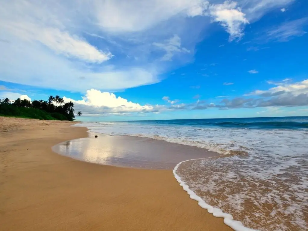 Годода: Soul Resorts