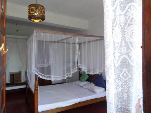 Канди: Ameelia Lodge Inn