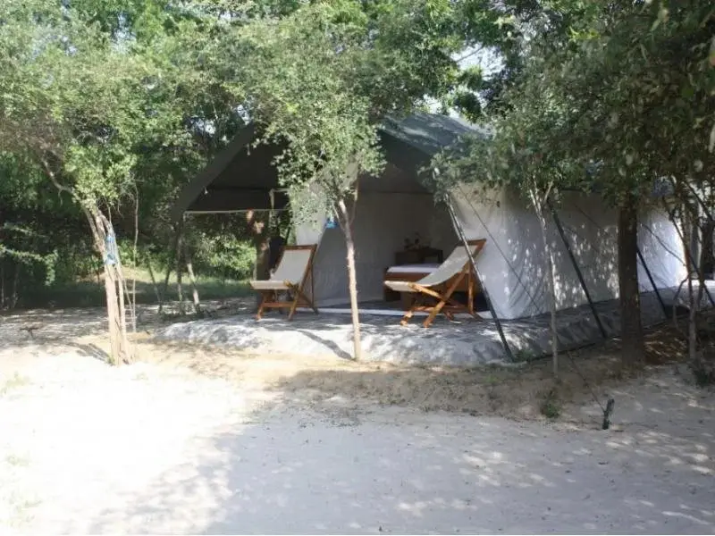 Палатупана: The Naturalist Luxury Tents