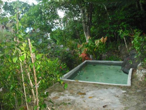 Гинигатена: Fern Hill Resorts Kitulgala