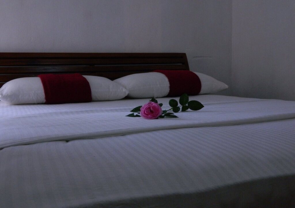 Поддана: Sinharaja Hostel