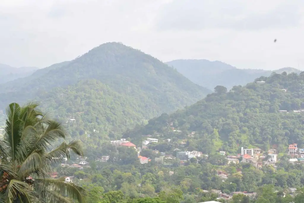 Канди: High View Homestay