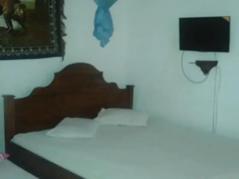 Негомбо: Lion Inn Guest House