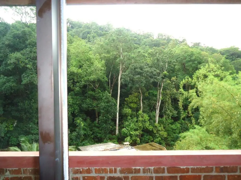 Канди: Green Woods