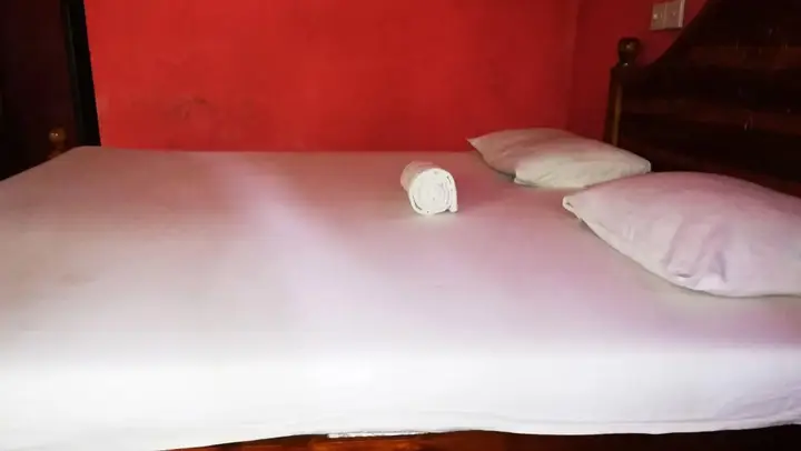 Дамбулла: Bluesky Guest House