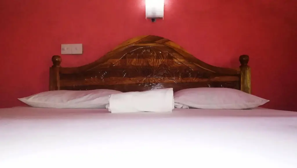 Дамбулла: Bluesky Guest House