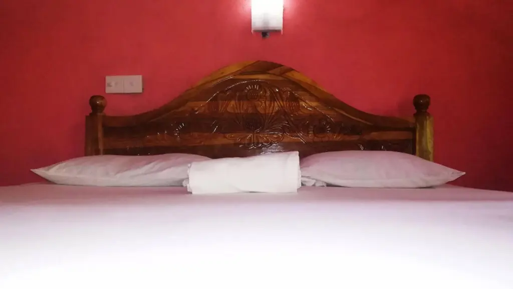 Дамбулла: Bluesky Guest House