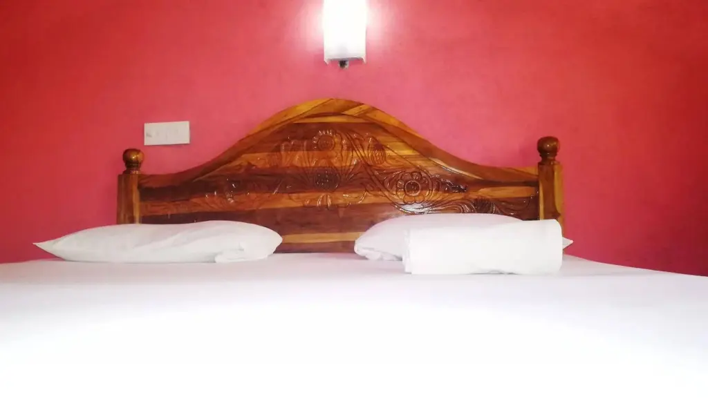 Дамбулла: Bluesky Guest House