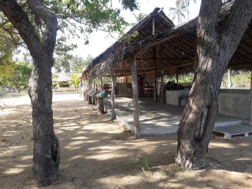 Cocodance Beach Resort — фото 1