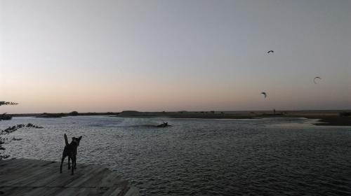 Кандакули: Cocodance Beach Resort