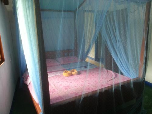 Катукурунда: Surf Mount Plant Inn Midigama