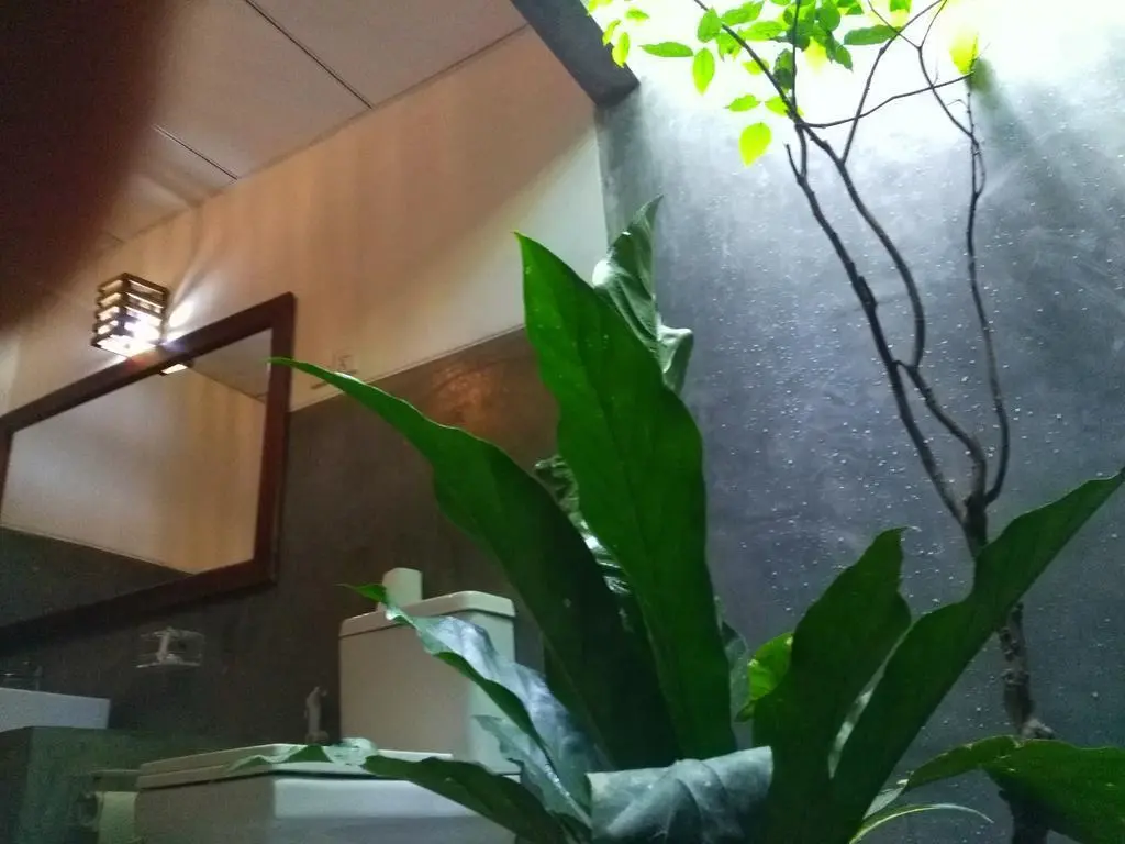 Анурадхапура: Habarana Ambasewana Resort