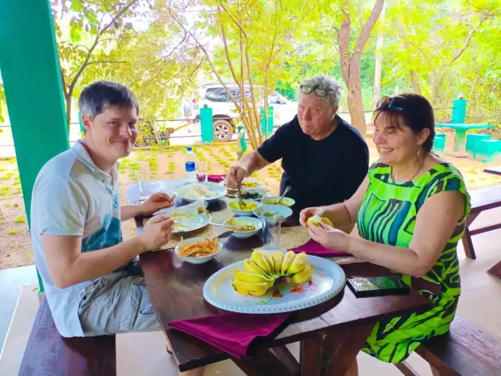 Дамбулла: Robert Inn Dambulla