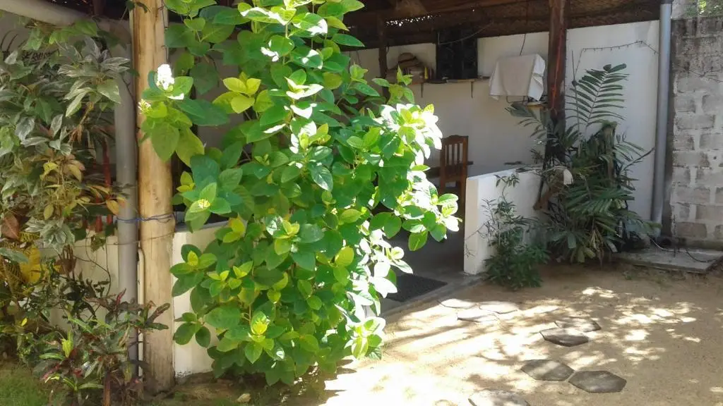 Аругам-Бэй: Garden Beach Hotel