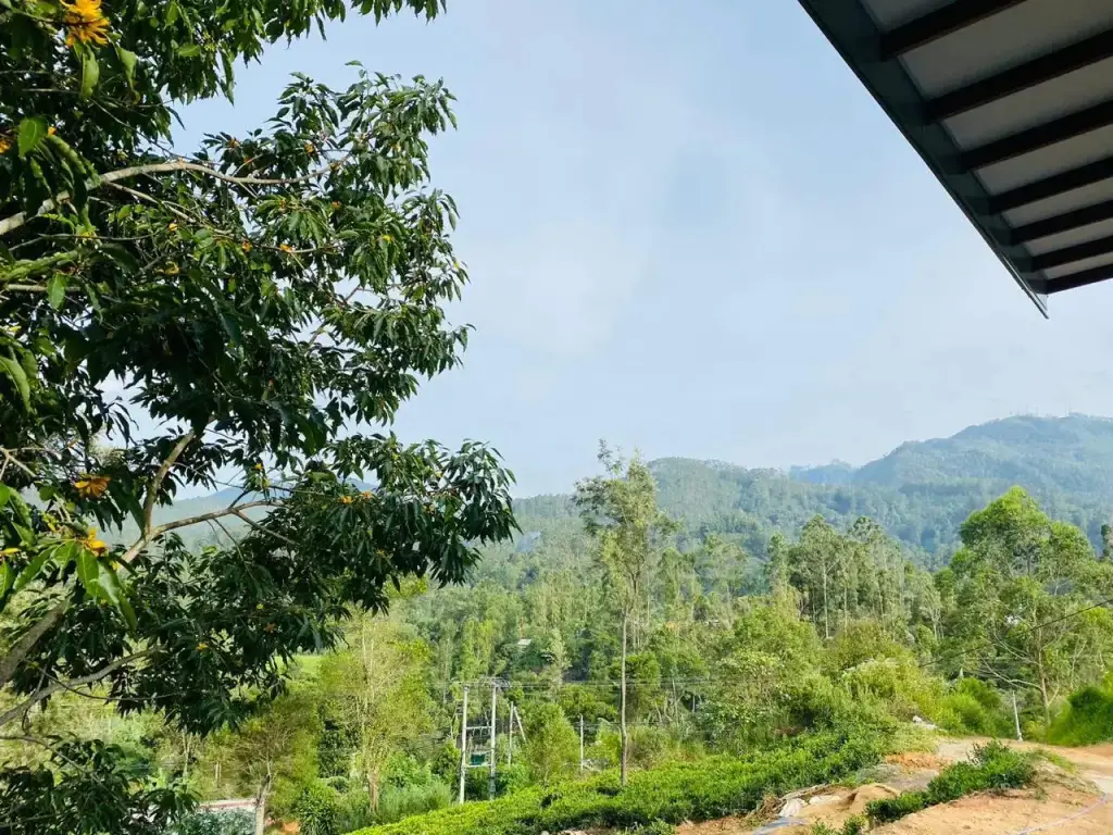 Элла: Курортный отель The Tea Tree Resort