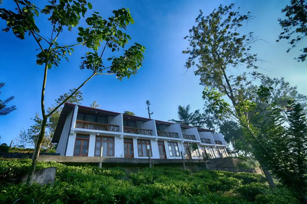 Элла: The Tea Tree Resort