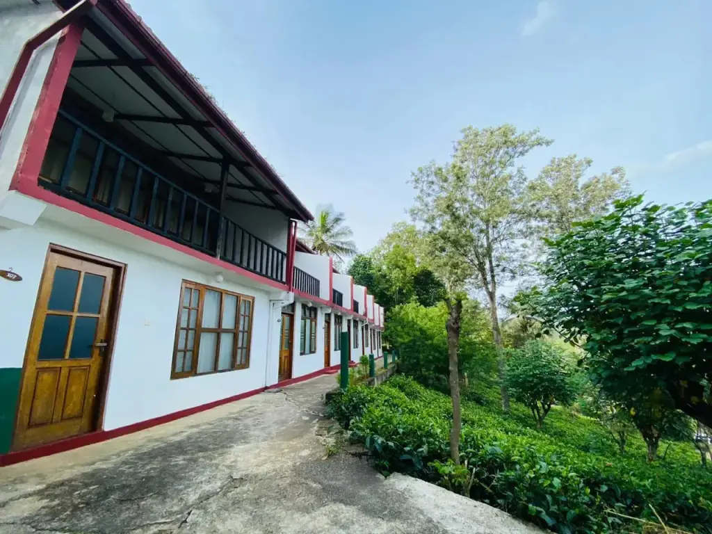 Элла: Курортный отель The Tea Tree Resort