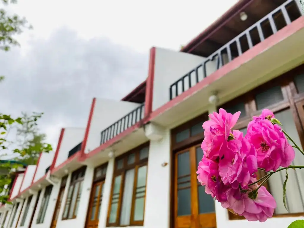 Элла: Курортный отель The Tea Tree Resort